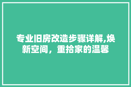 专业旧房改造步骤详解,焕新空间，重拾家的温馨 装修材料