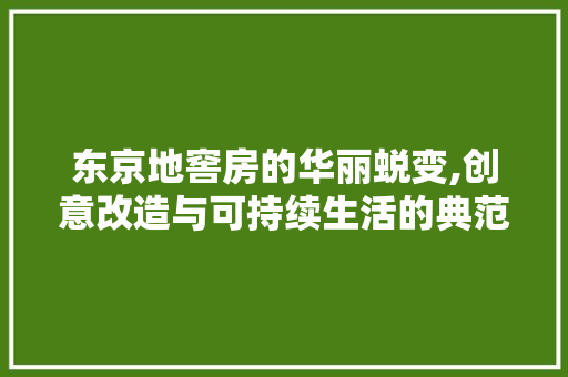 东京地窖房的华丽蜕变,创意改造与可持续生活的典范