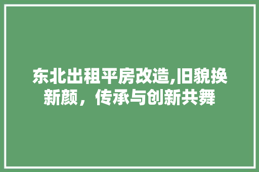 东北出租平房改造,旧貌换新颜,传承与创新共舞 景观设计 东北出租平房改造,旧貌换新颜,传承与创新共舞 景观设计