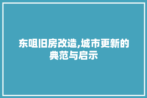 东咀旧房改造,城市更新的典范与启示