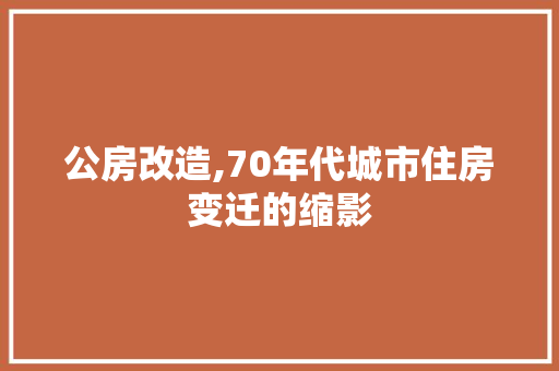 公房改造,70年代城市住房变迁的缩影