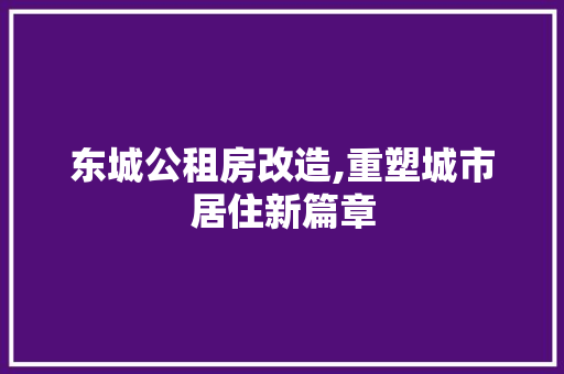 东城公租房改造,重塑城市居住新篇章