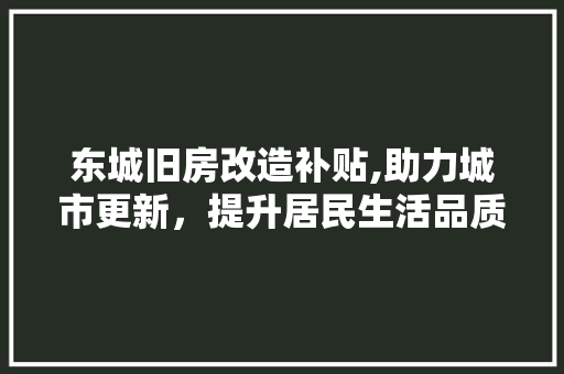 东城旧房改造补贴,助力城市更新，提升居民生活品质