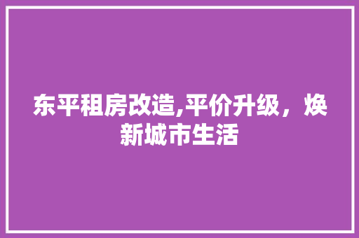 东平租房改造,平价升级，焕新城市生活