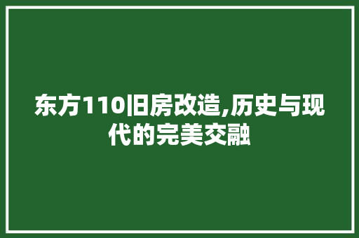 东方110旧房改造,历史与现代的完美交融 隔断设计