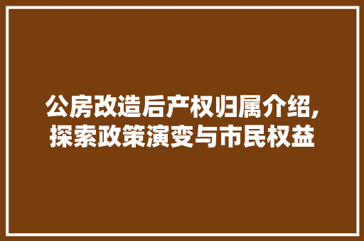 公房改造后产权归属介绍,探索政策演变与市民权益