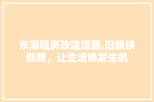 东湖租房改造墙面,旧貌换新颜，让生活焕发生机