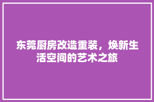 东莞厨房改造重装，焕新生活空间的艺术之旅 门窗装修