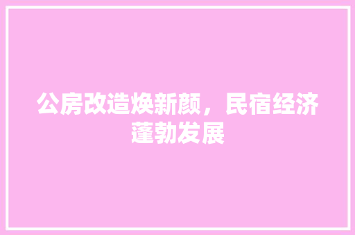 公房改造焕新颜，民宿经济蓬勃发展 装修材料