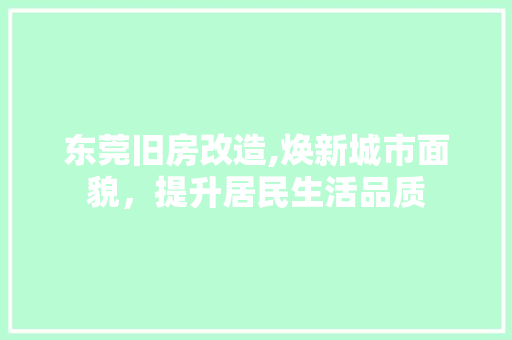 东莞旧房改造,焕新城市面貌，提升居民生活品质