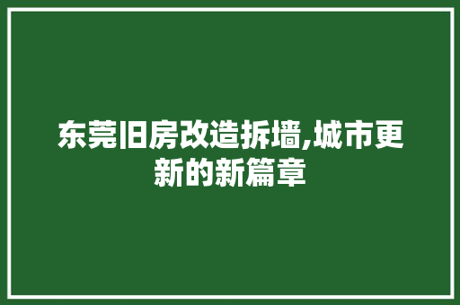 东莞旧房改造拆墙,城市更新的新篇章
