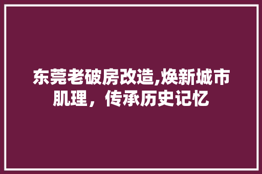 东莞老破房改造,焕新城市肌理，传承历史记忆