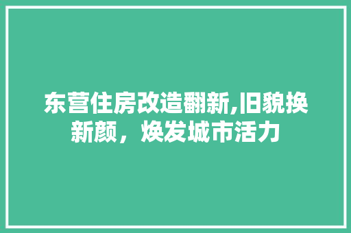 东营住房改造翻新,旧貌换新颜，焕发城市活力
