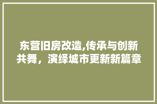 东营旧房改造,传承与创新共舞，演绎城市更新新篇章
