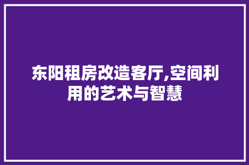 东阳租房改造客厅,空间利用的艺术与智慧