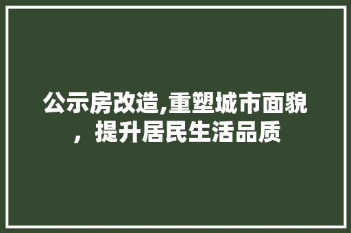 公示房改造,重塑城市面貌，提升居民生活品质