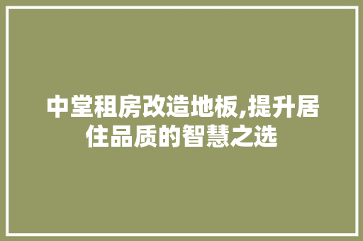 中堂租房改造地板,提升居住品质的智慧之选 建筑设计