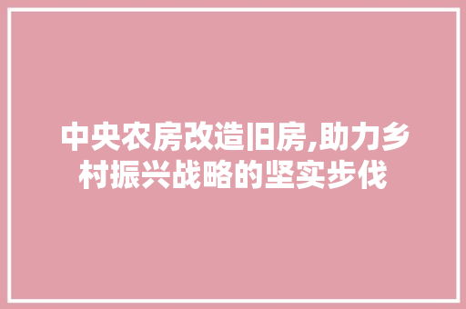中央农房改造旧房,助力乡村振兴战略的坚实步伐