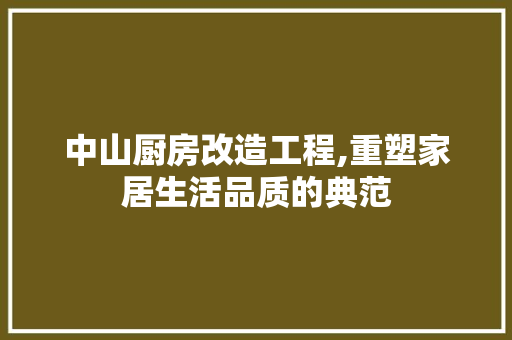 中山厨房改造工程,重塑家居生活品质的典范
