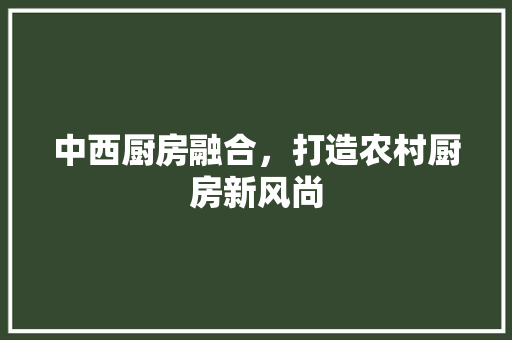 中西厨房融合，打造农村厨房新风尚