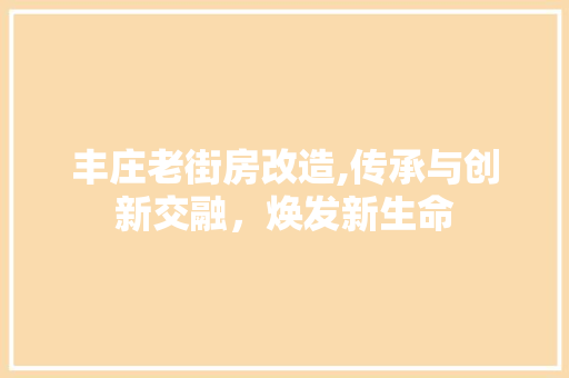 丰庄老街房改造,传承与创新交融，焕发新生命