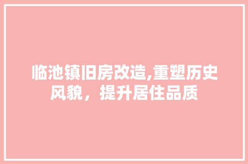 临池镇旧房改造,重塑历史风貌，提升居住品质 景观设计