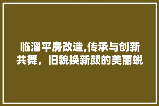 临淄平房改造,传承与创新共舞，旧貌换新颜的美丽蜕变 门窗装修
