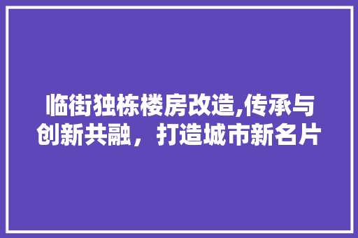 临街独栋楼房改造,传承与创新共融，打造城市新名片