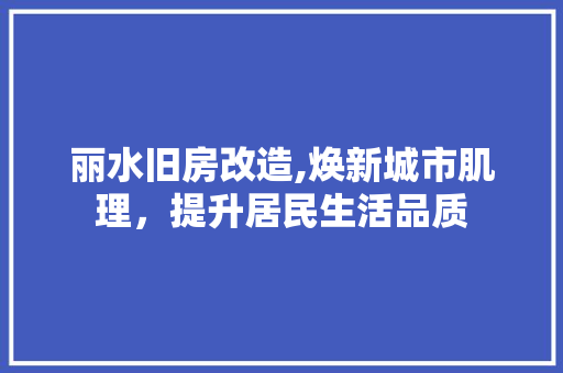 丽水旧房改造,焕新城市肌理，提升居民生活品质 景观设计
