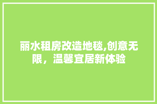 丽水租房改造地毯,创意无限，温馨宜居新体验