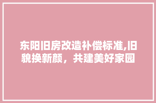 东阳旧房改造补偿标准,旧貌换新颜，共建美好家园