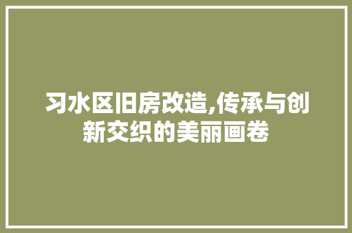 习水区旧房改造,传承与创新交织的美丽画卷