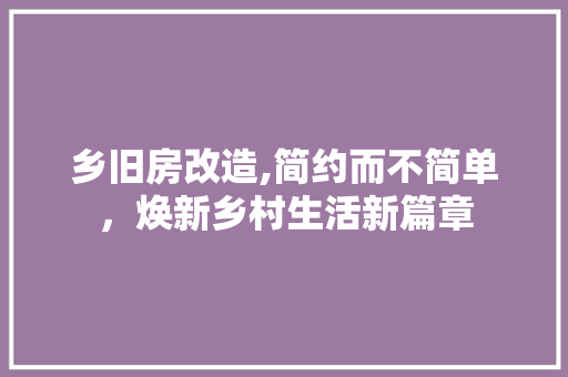 乡旧房改造,简约而不简单，焕新乡村生活新篇章