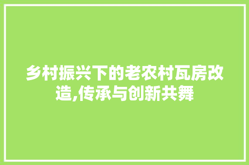 乡村振兴下的老农村瓦房改造,传承与创新共舞