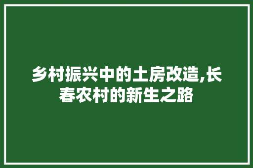 乡村振兴中的土房改造,长春农村的新生之路