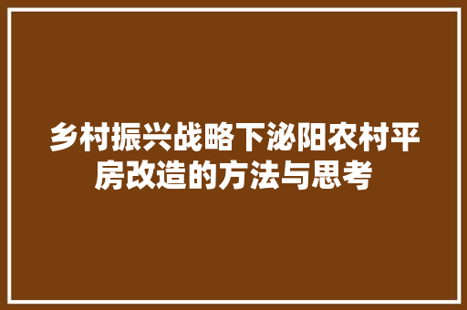 乡村振兴战略下泌阳农村平房改造的方法与思考 墙面装饰
