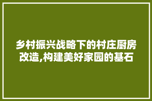 乡村振兴战略下的村庄厨房改造,构建美好家园的基石 隔断设计