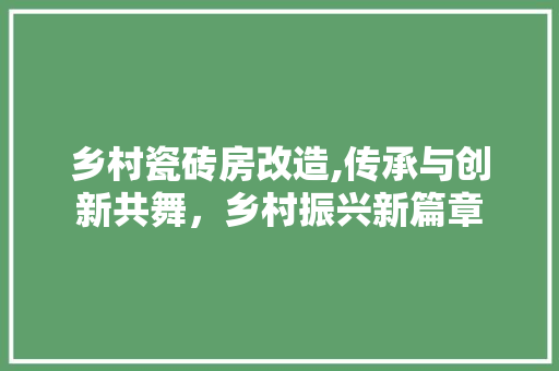 乡村瓷砖房改造,传承与创新共舞，乡村振兴新篇章