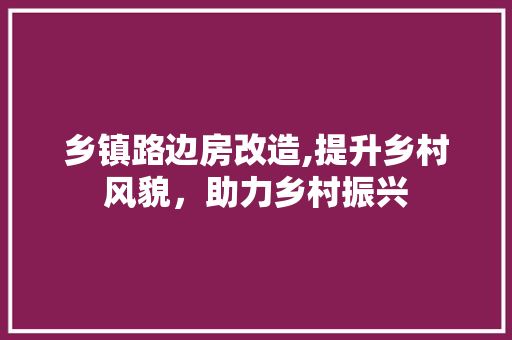 乡镇路边房改造,提升乡村风貌，助力乡村振兴 隔断设计
