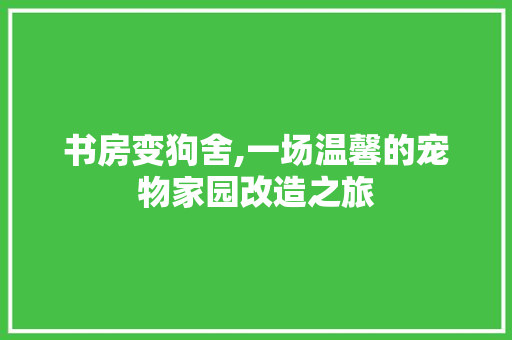 书房变狗舍,一场温馨的宠物家园改造之旅