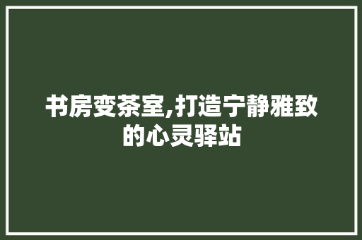 书房变茶室,打造宁静雅致的心灵驿站 装修攻略 书房变茶室,打造宁静雅致的心灵驿站 装修攻略