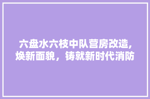 六盘水六枝中队营房改造,焕新面貌，铸就新时代消防铁军 庭院装修