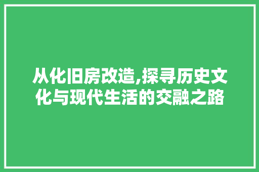 从化旧房改造,探寻历史文化与现代生活的交融之路