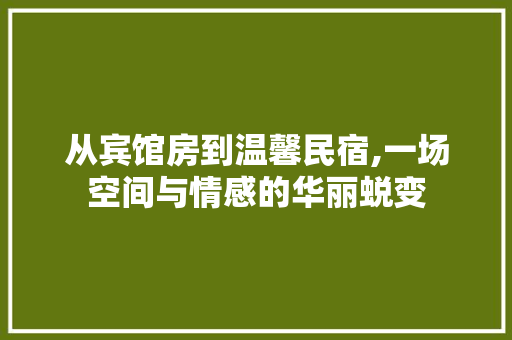 从宾馆房到温馨民宿,一场空间与情感的华丽蜕变 建筑设计