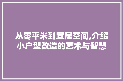 从零平米到宜居空间,介绍小户型改造的艺术与智慧 景观设计