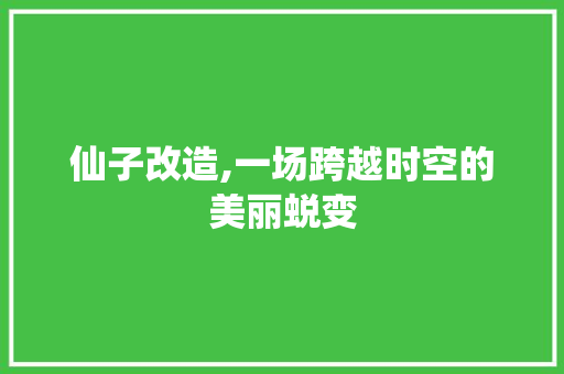 仙子改造,一场跨越时空的美丽蜕变 庭院装修