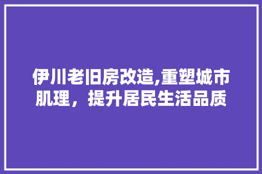 伊川老旧房改造,重塑城市肌理，提升居民生活品质