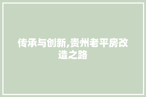 传承与创新,贵州老平房改造之路