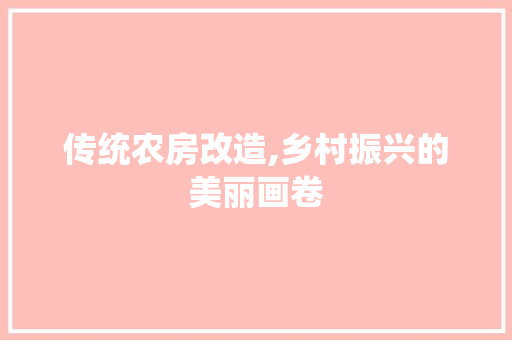 传统农房改造,乡村振兴的美丽画卷