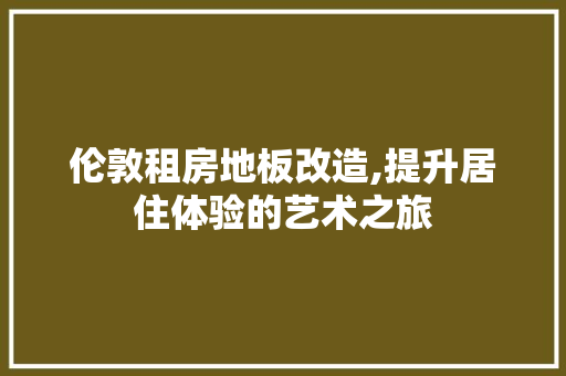 伦敦租房地板改造,提升居住体验的艺术之旅 地面装修
